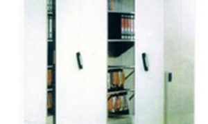 Hand Push Mobile Compactor